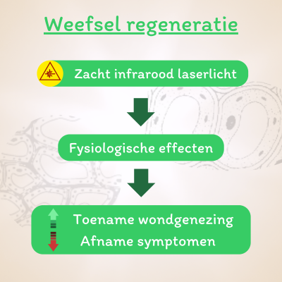Zacht infrarood laserlicht stimuleert wondgenezing