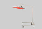Total body laser Integral Laser System